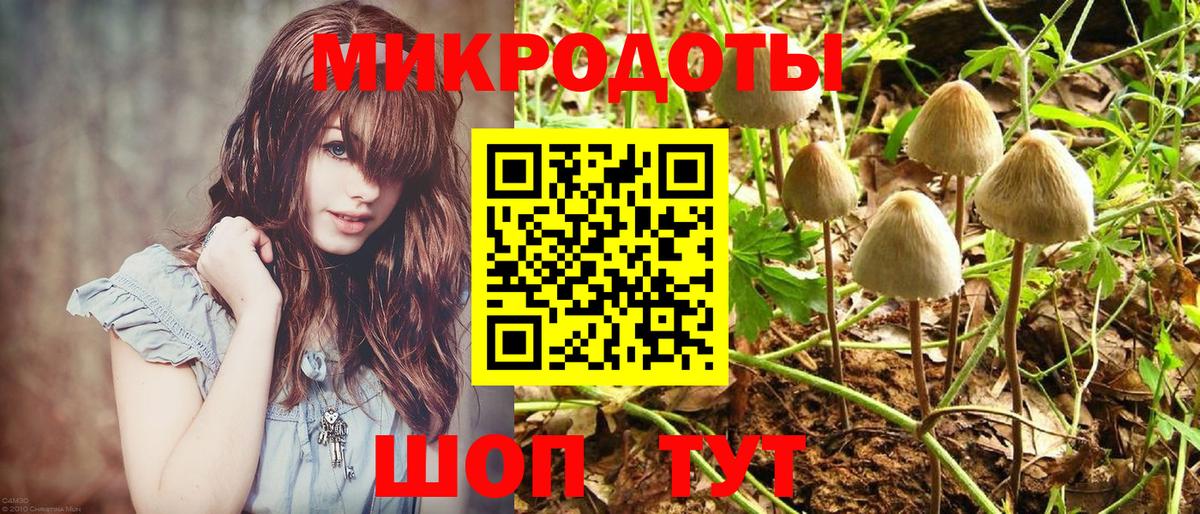 Галлюциногенные грибы мухоморы Нижнекамск